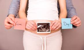 Teste De Gravidez Online : Tire Sua dúvida com esse App